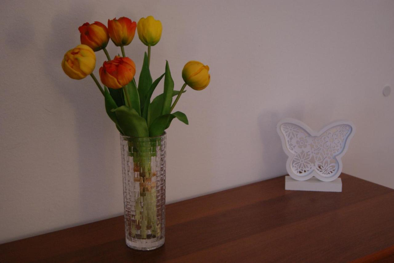 Apartment Lynx Korenica Zewnętrze zdjęcie
